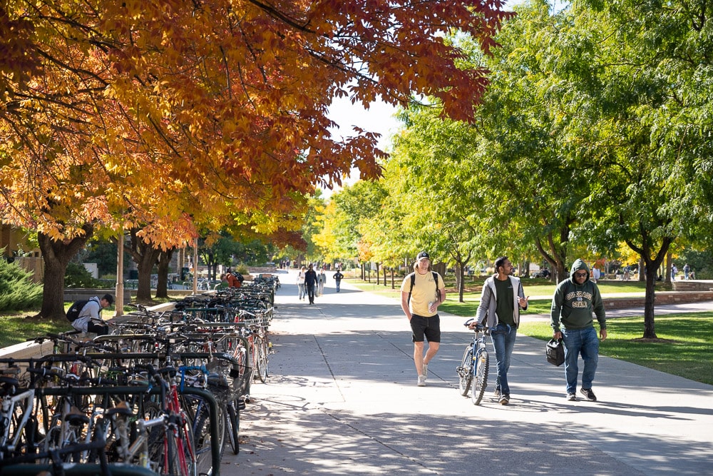 CSU campus in the fall